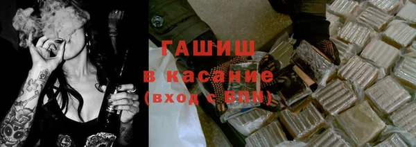 гашик Алексин