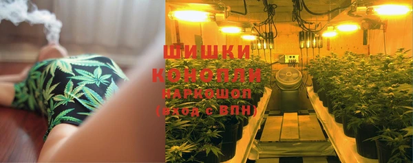 твердый Алзамай